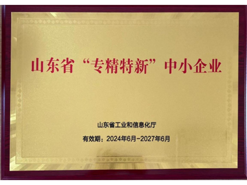 山东省专精特新中小企业